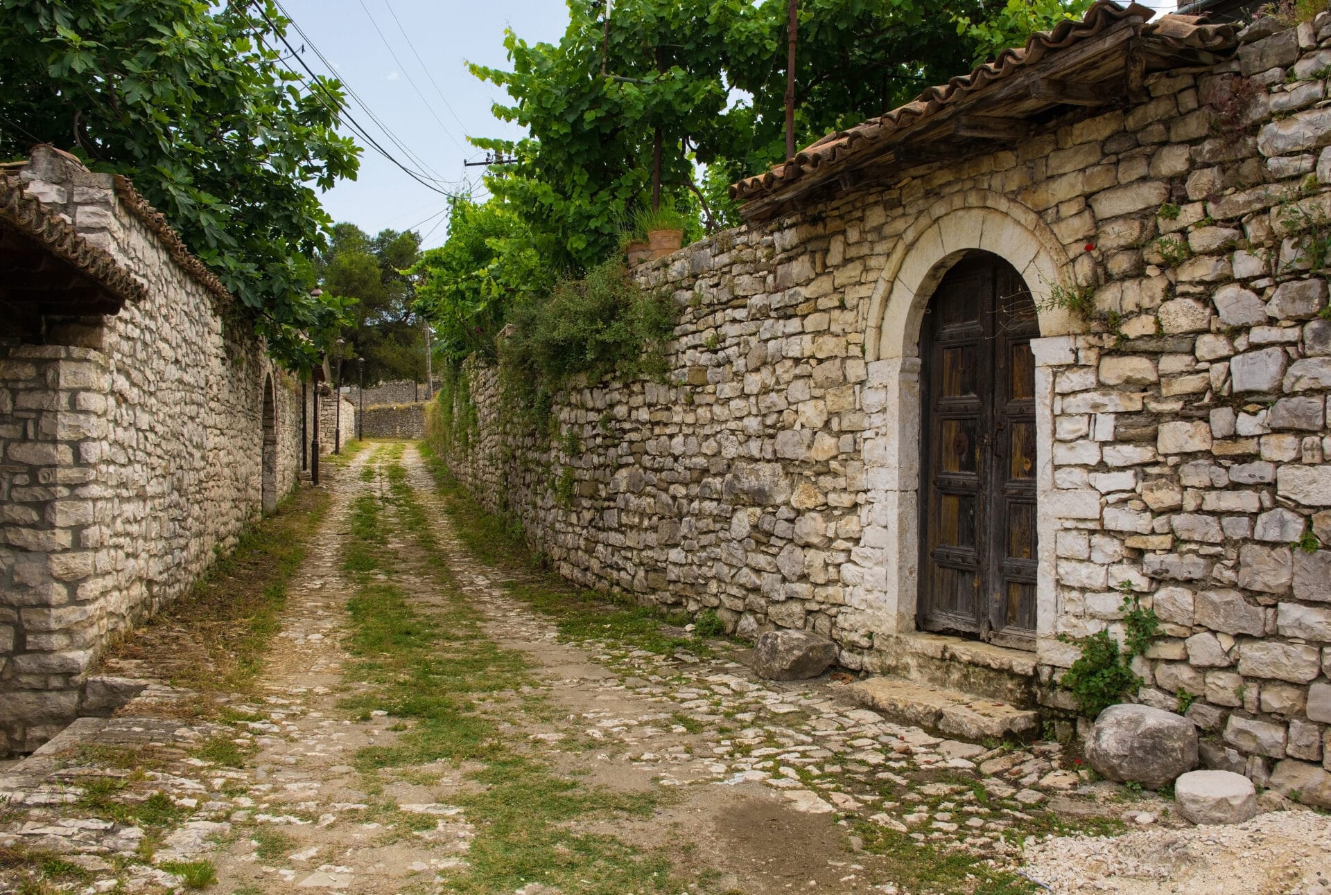 Berat 1031930969