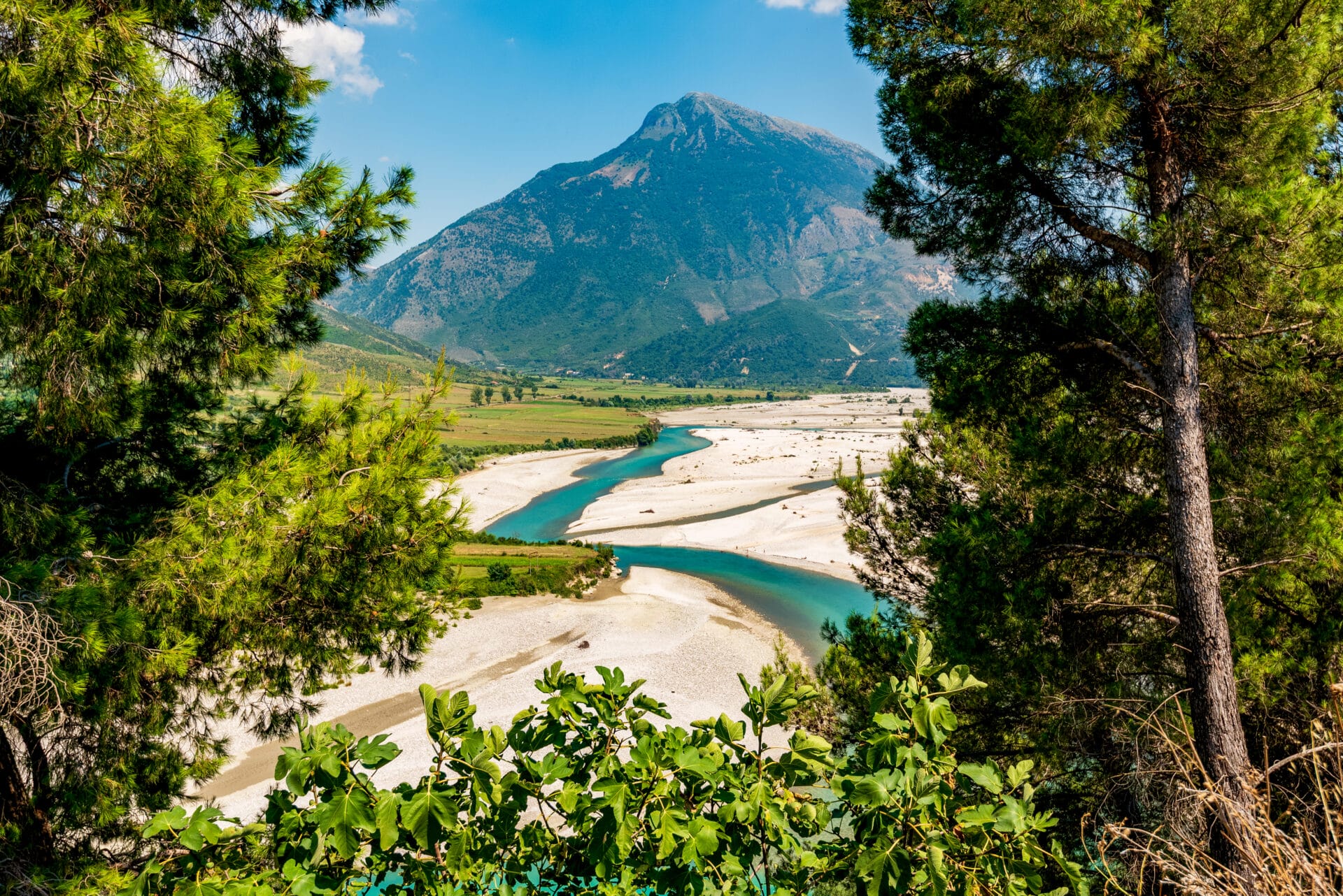 AdobeStock 1473985241