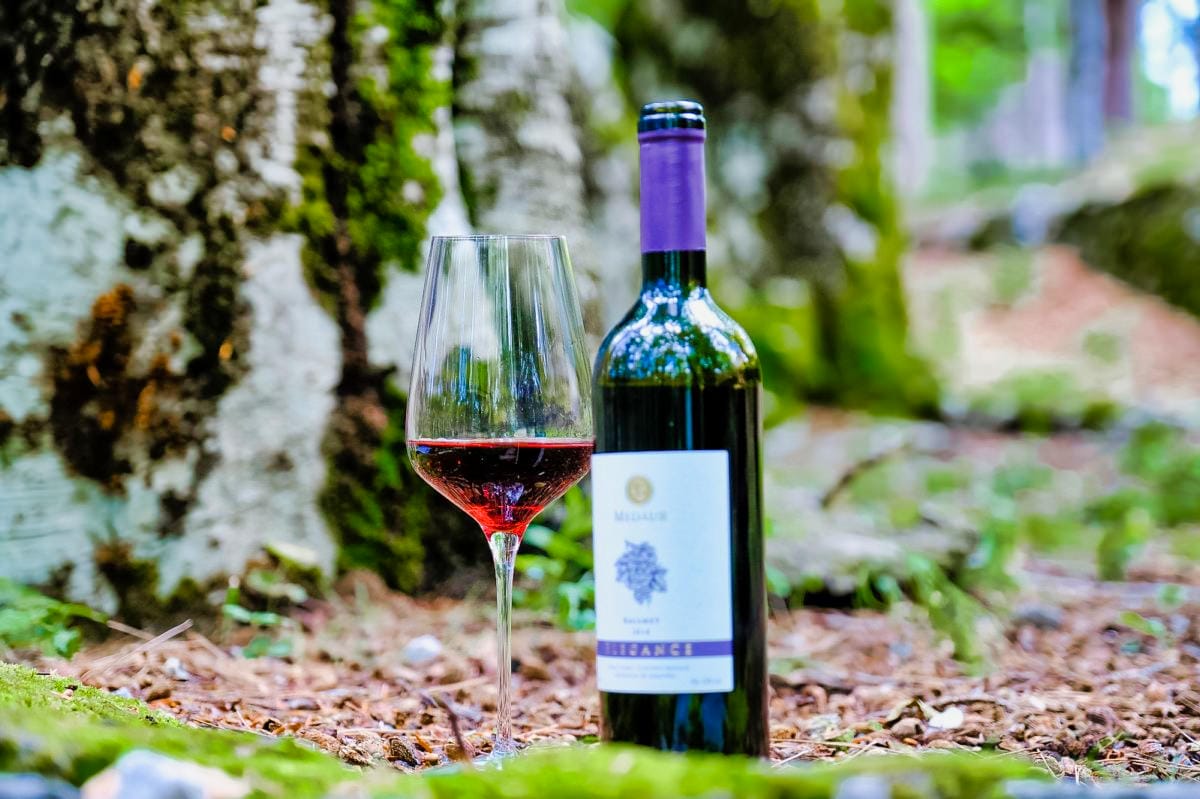 Albania's Best Wine Regions to Visit - Notable Wineries in Albania