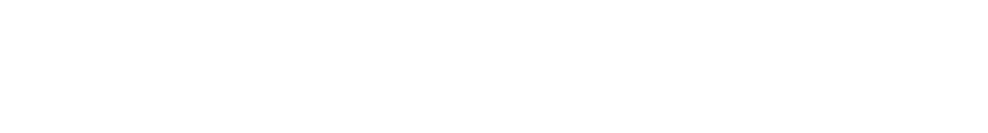 The New York Times Logo