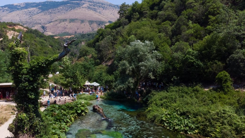 Pranvera e Syrit të Kaltër të Shqipërisë