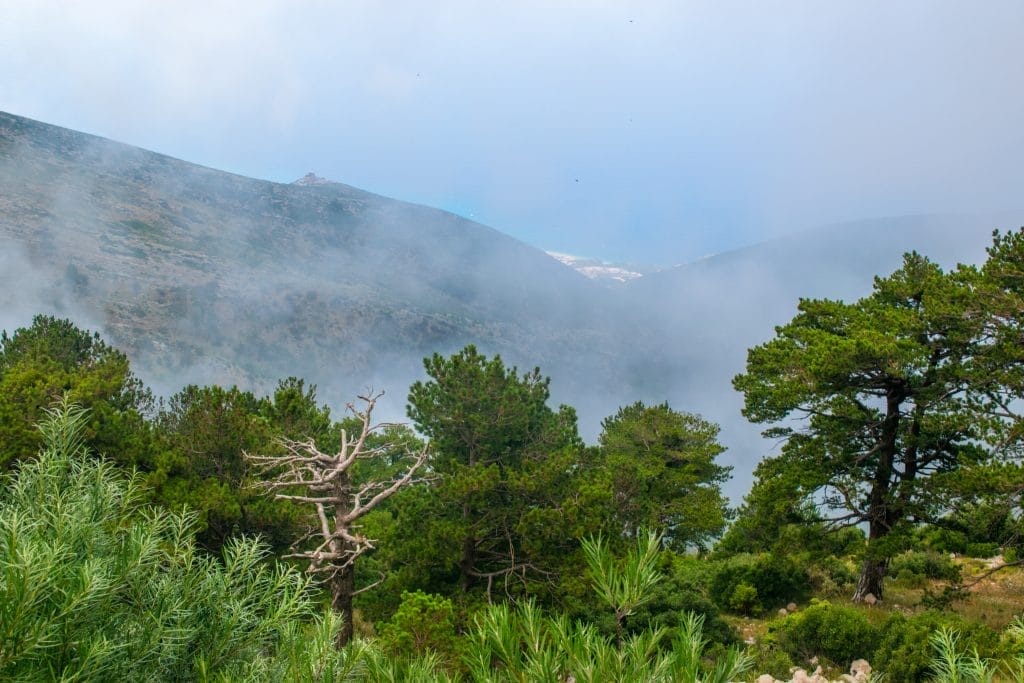 Albania Llogara National park