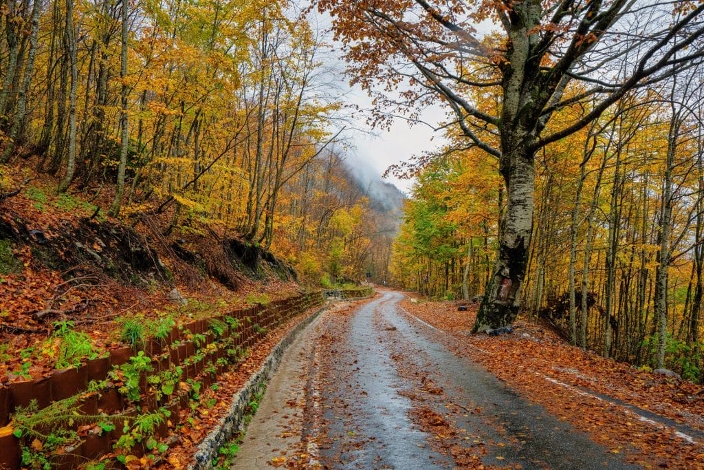 Thethi National Park in northern Albania showing the magnificent colors of Autumn