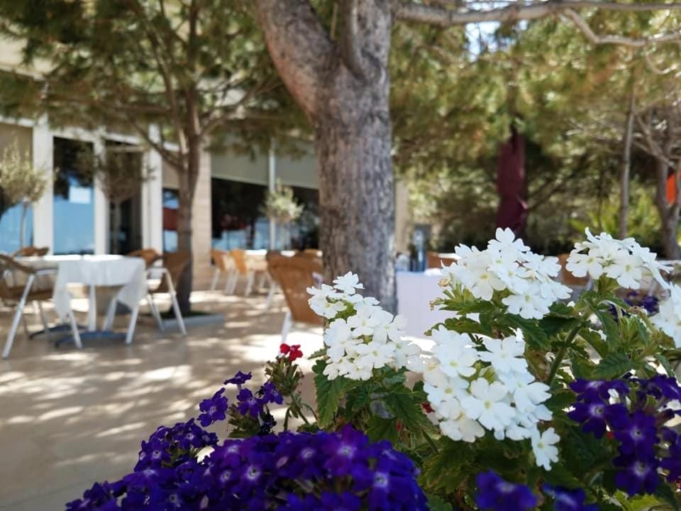 Hotel Edart Durrës_2