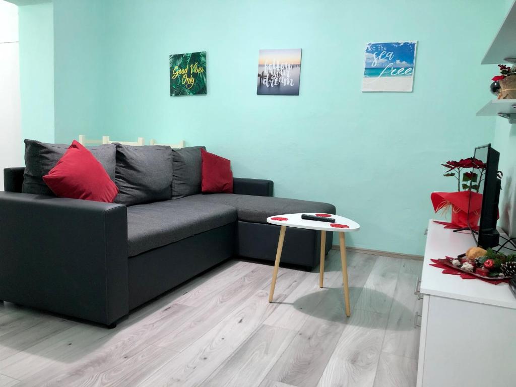 Apartament super studio prane qendres se qytetit Tirana_9