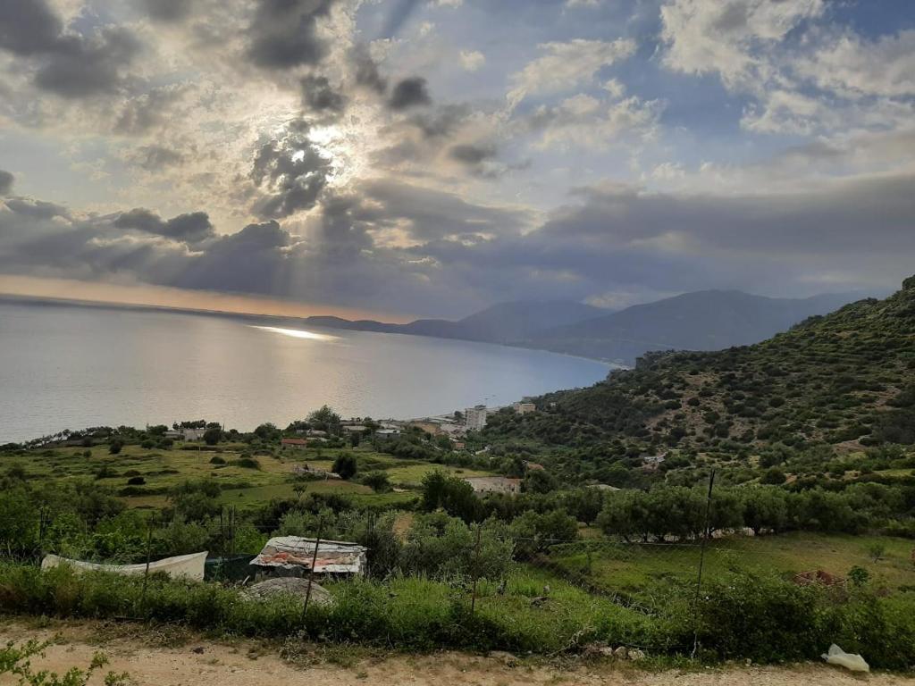 Camping Jungle në Borsh Borsh_6