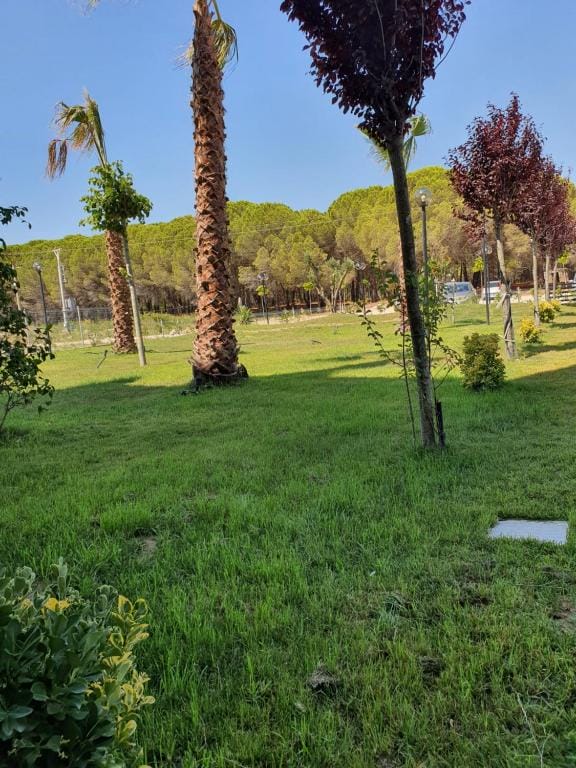 Hotel Amber Albania Spille_12