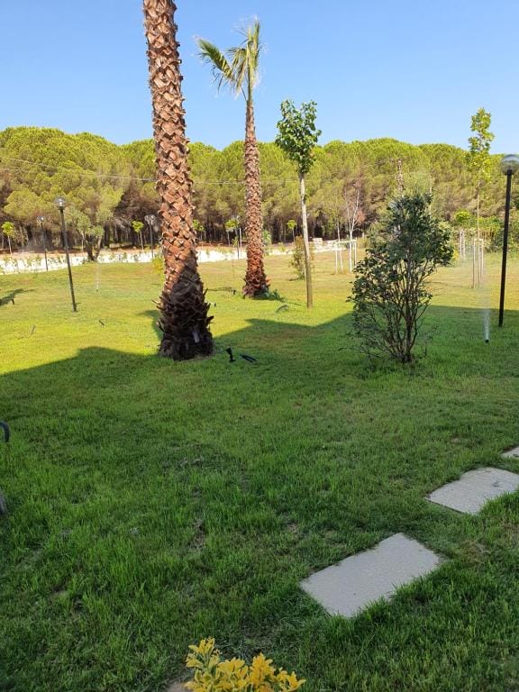 Hotel Amber Albania Spille_11