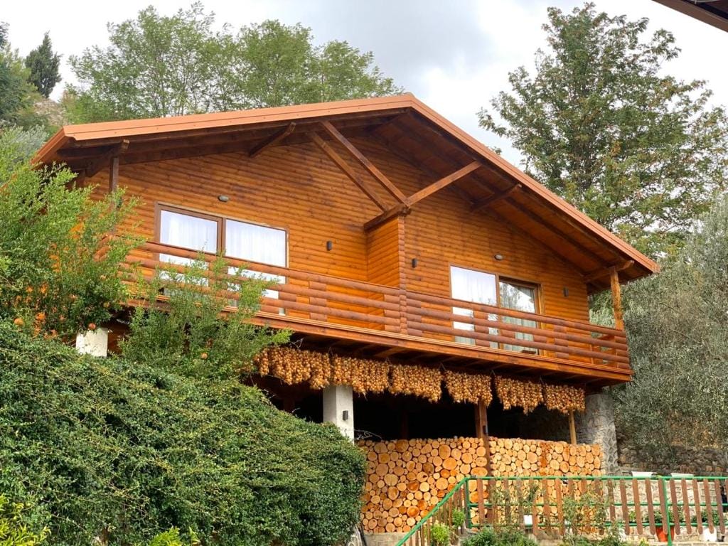 Wooden House Shkodër_12