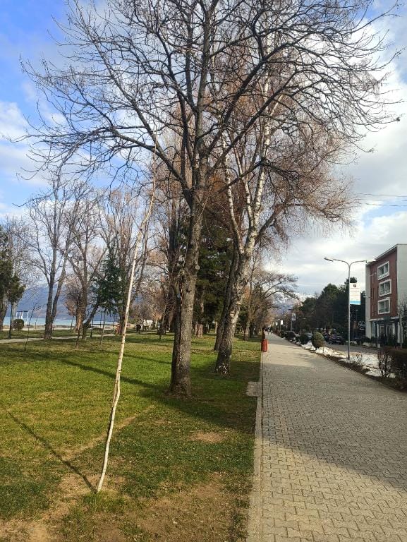 Sun&Moon Ohridlake Apartments Pogradec_9