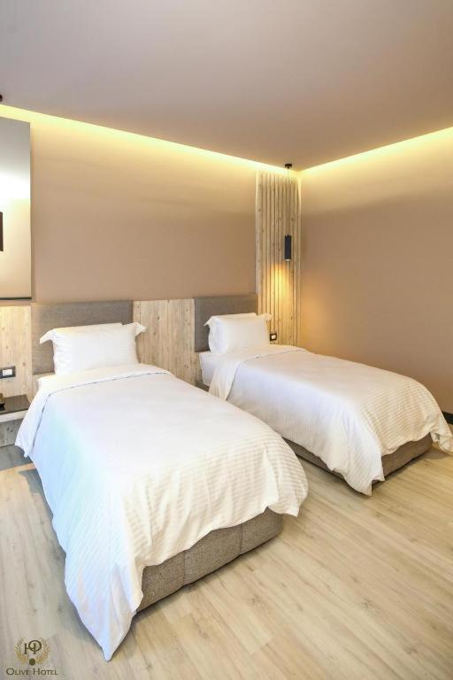Hotel Olive Vlorë_9