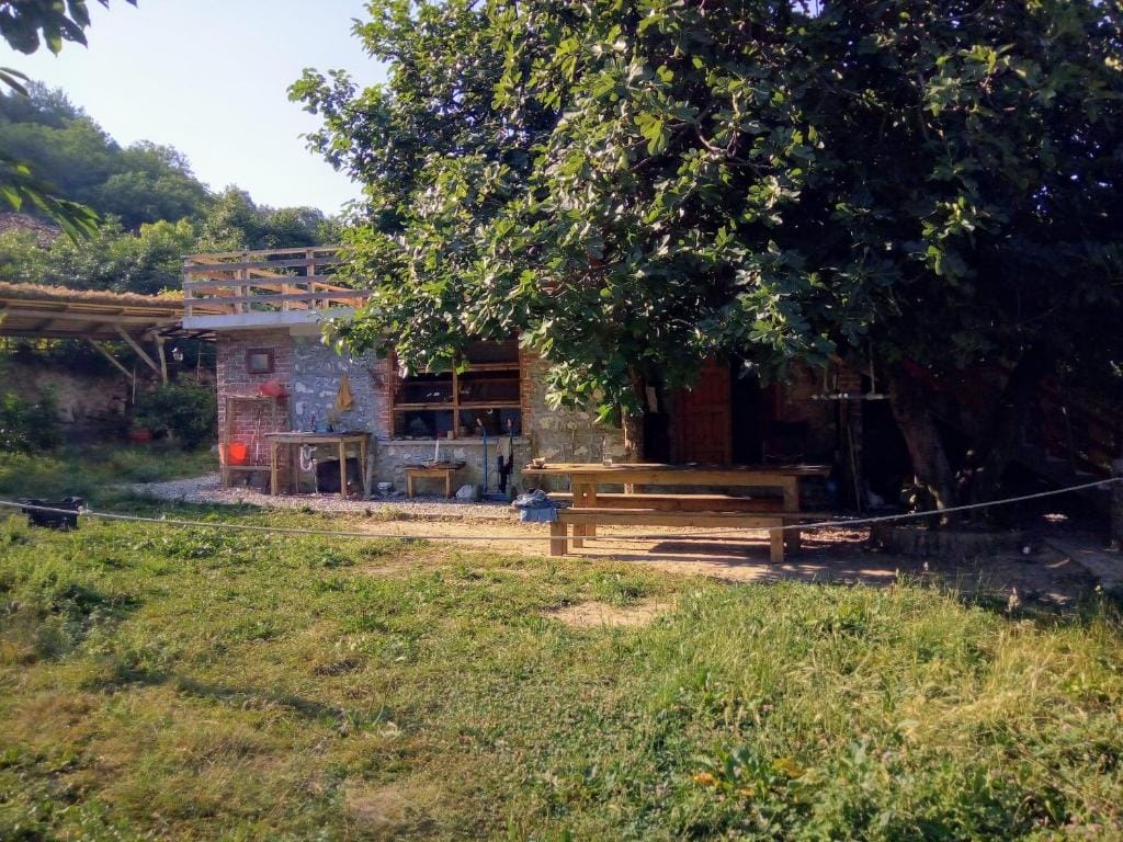 Shtëpia në fshatin Tiranë_9