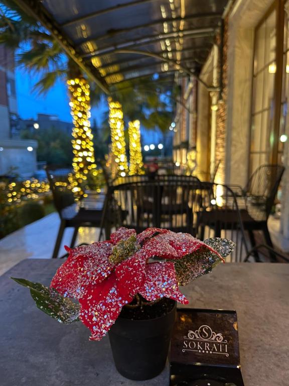 Hotel Sokrati Tirana_12