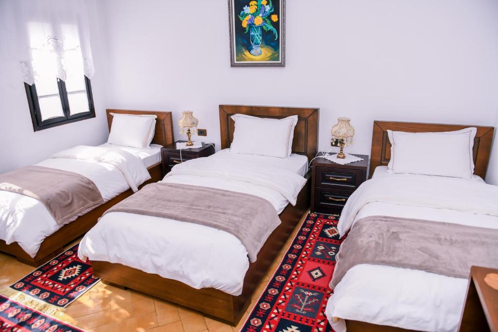 Villa ELMAR Berat_6