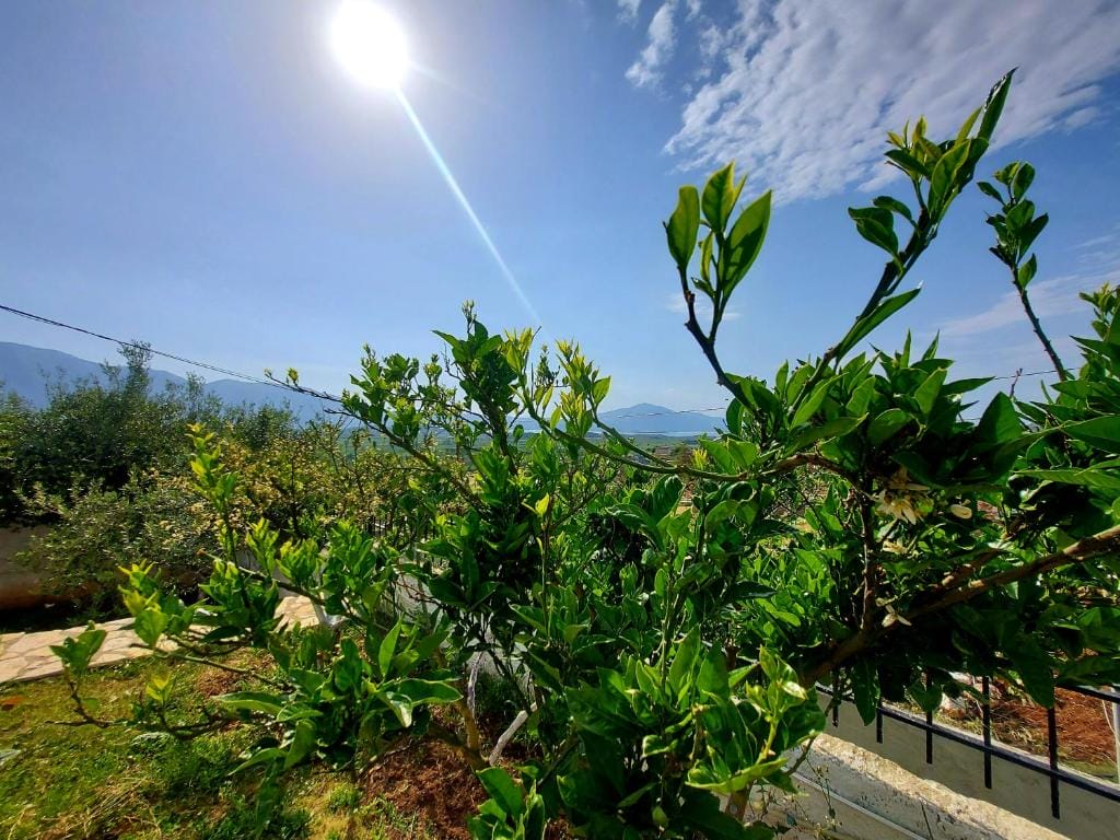 Vlore Casa Vacanze Vlorë_12