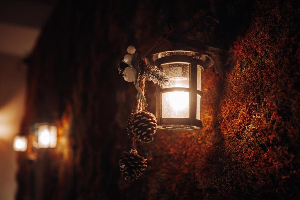 Tree Hotel Korçë_6