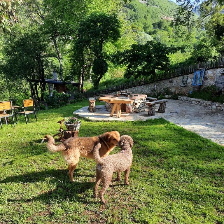 Kulla Hupi Agriturism Bulqizë_10