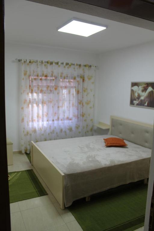 Swans flat in Pogradec