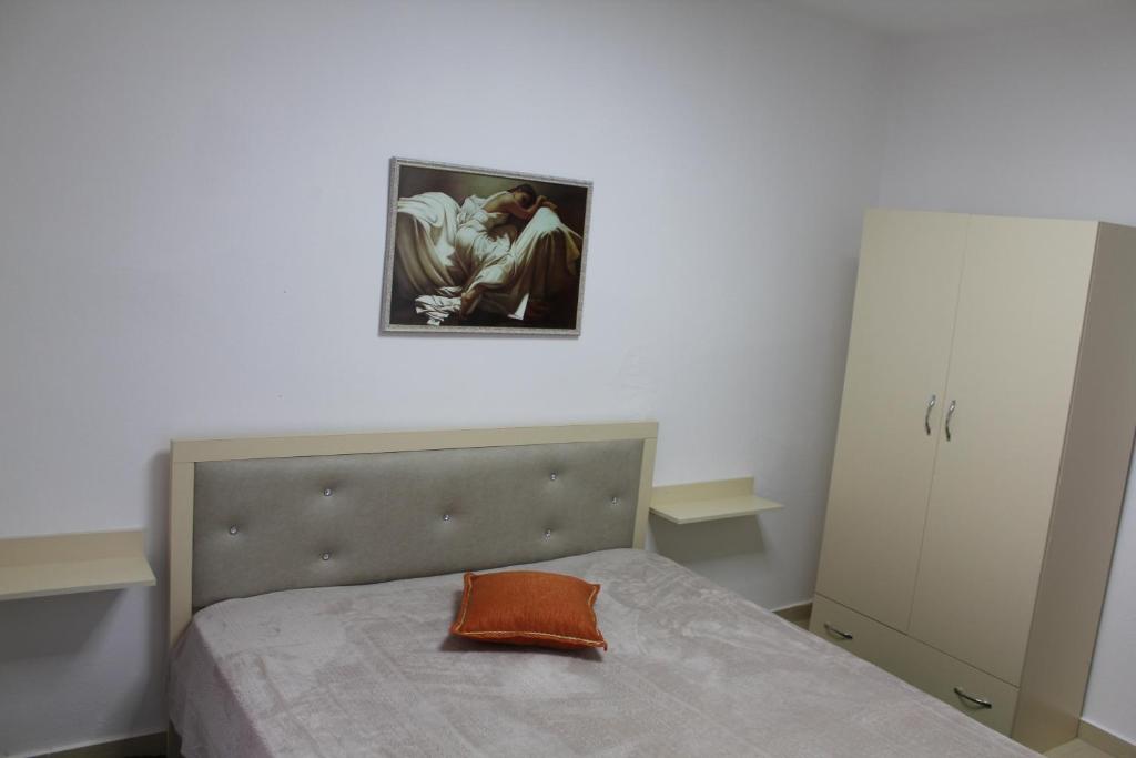 shqiperi Pogradec_1