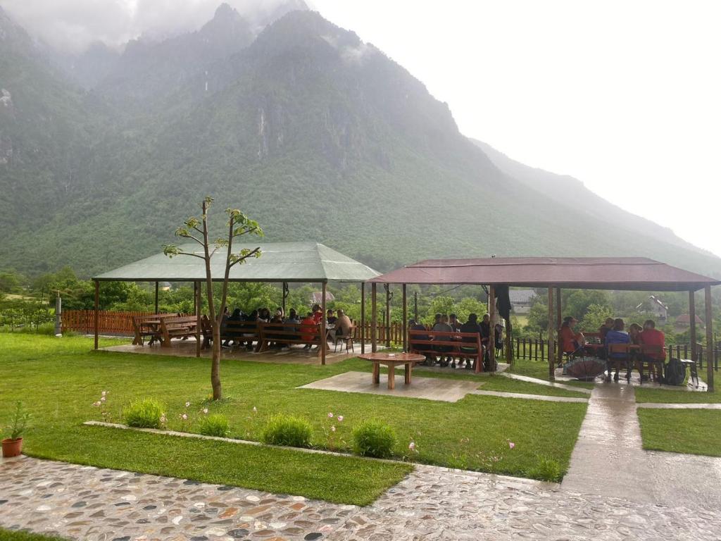 Driti GH Nderlysa Shkodër_8