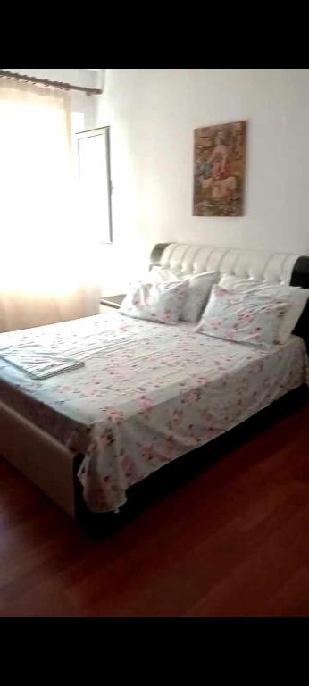 Apartamenti Sofia 2 Pogradec_1