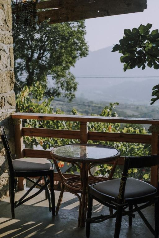 Shtëpia në fshatin Tiranë_6