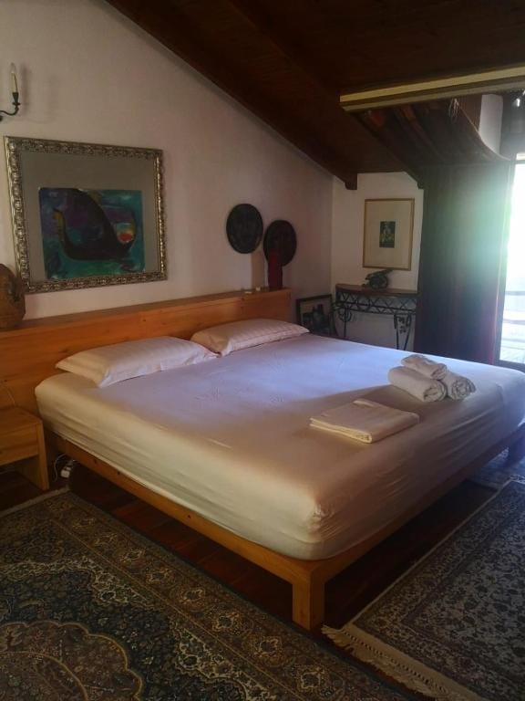 Villa Miro Golem_2