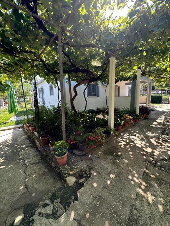 progon house Tepelenë_11