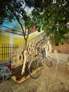 Kopshti i Viles Sami Tirana_8