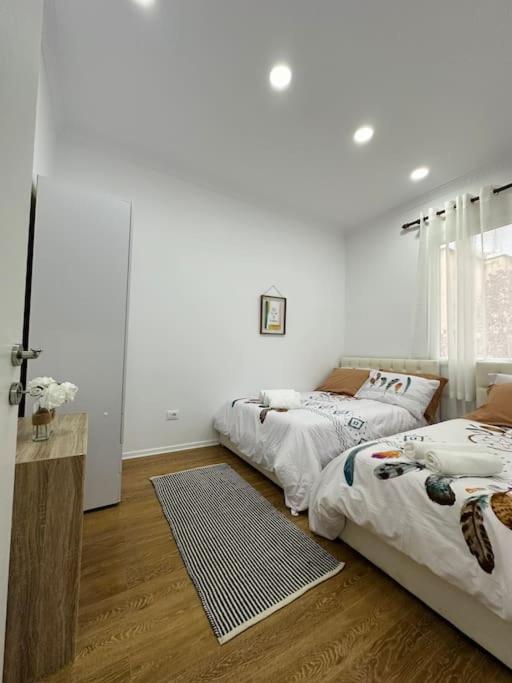 Cozy Apartment in Tirana Tirana_1