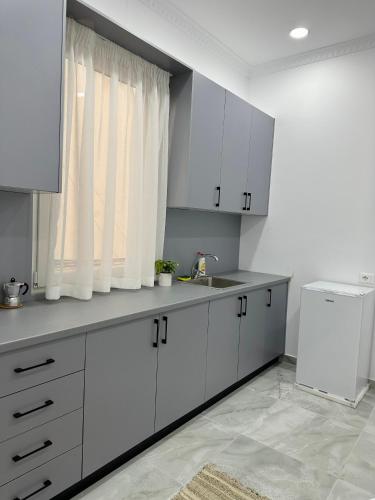 Cozy Apartment in Tirana Tirana_3