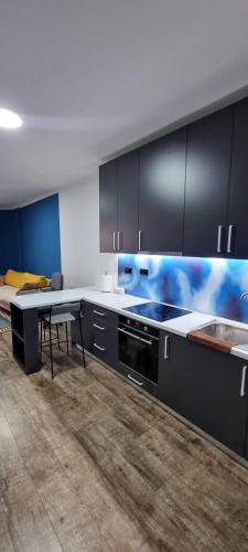 Apartament i këndshëm me 1 dhomë gjumi i gjerë Kashar_4