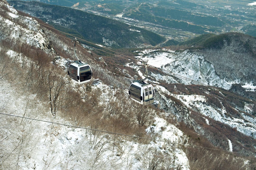 Dajti national park 192146819